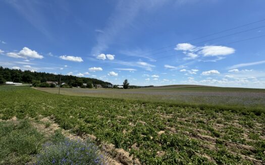 Rzetnia – działka 1,27ha – budowlana + rola + las