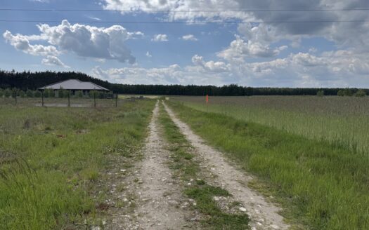 Chojęcin – Szum – 3 działki budowlane