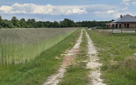 Chojęcin – Szum – 3 działki budowlane