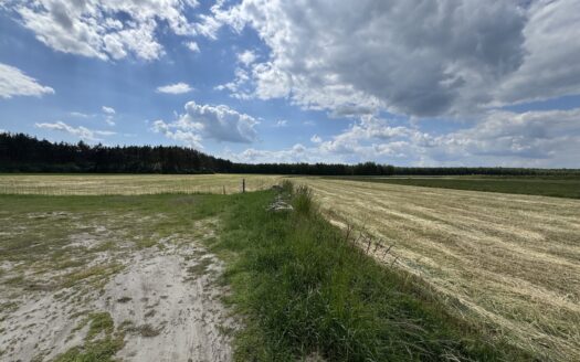 Chojęcin – Szum – 3 działki budowlane