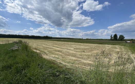 Chojęcin – Szum – 3 działki budowlane