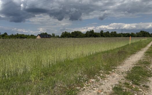 Chojęcin – Szum – 3 działki budowlane