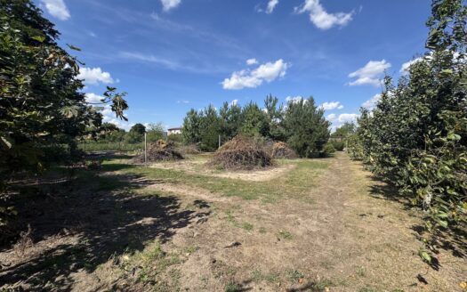 Kępno, ul. Sportowa – świetna działka budowlana 12,5 ar