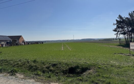 Urocze działki budowlane w Chojęcinie – media