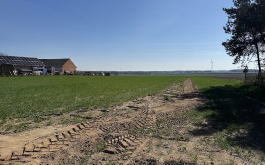 Urocze działki budowlane w Chojęcinie – media