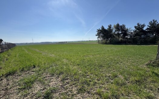 Urocze działki budowlane w Chojęcinie – media