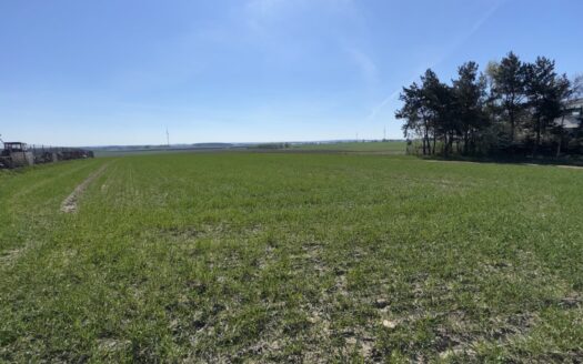 Urocze działki budowlane w Chojęcinie – media