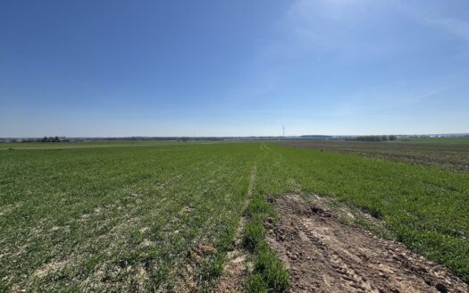 Urocze działki budowlane w Chojęcinie – media