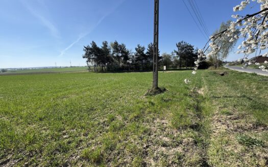 Urocze działki budowlane w Chojęcinie – media