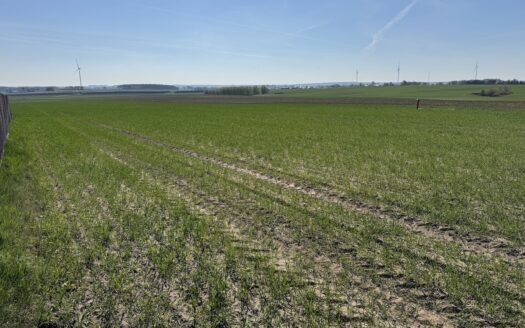 Urocze działki budowlane w Chojęcinie – media