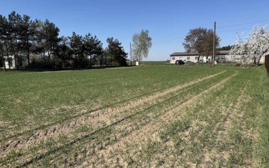 Urocze działki budowlane w Chojęcinie – media