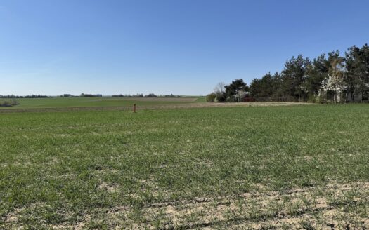 Urocze działki budowlane w Chojęcinie – media