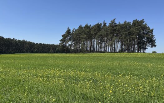 Działak 12ar – Trzy Kamienie – Kobyla Góra