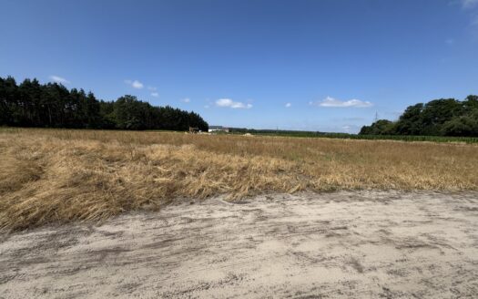 Działki VIP pod lasem – różne powierzchnie