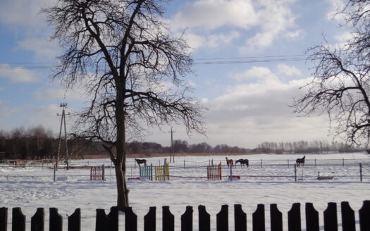 Klimatyczna posiadłość ze stawami w Przybyszowie