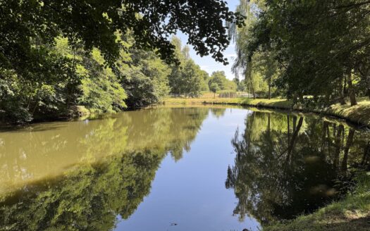 Klimatyczna posiadłość ze stawami w Przybyszowie