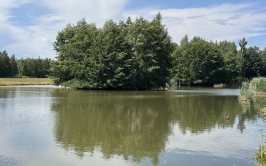 Klimatyczna posiadłość ze stawami w Przybyszowie